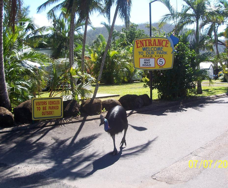 Flying Fish Point Tourist Park Hotel Innisfail Buitenkant foto