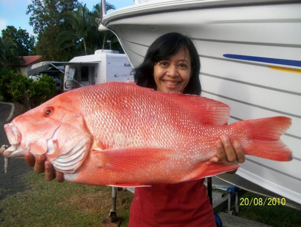 Flying Fish Point Tourist Park Hotel Innisfail Buitenkant foto