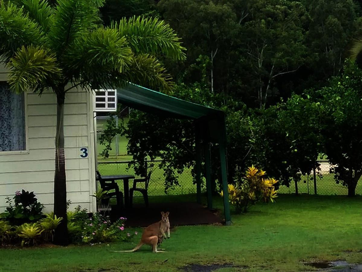 Flying Fish Point Tourist Park Hotel Innisfail Buitenkant foto